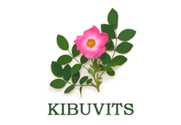 Kibuvits